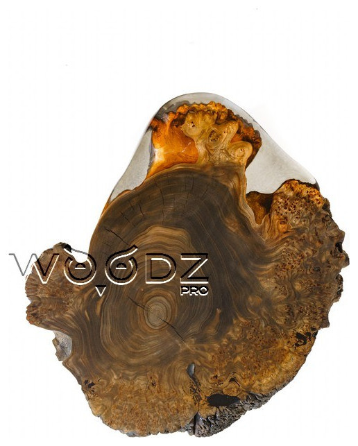 Model 2697