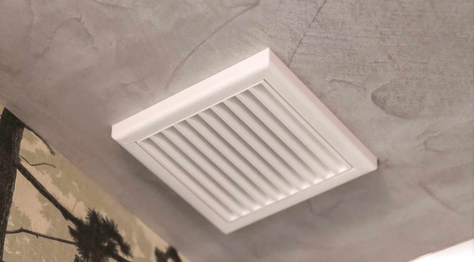 НТВ "ОСИНОЕ ГНЕЗДО: ИНТЕРЬЕР КУХНИ"