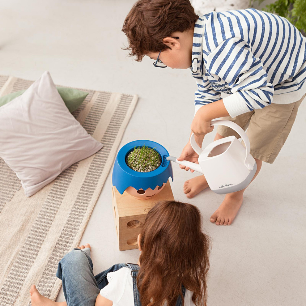 Растения для детской