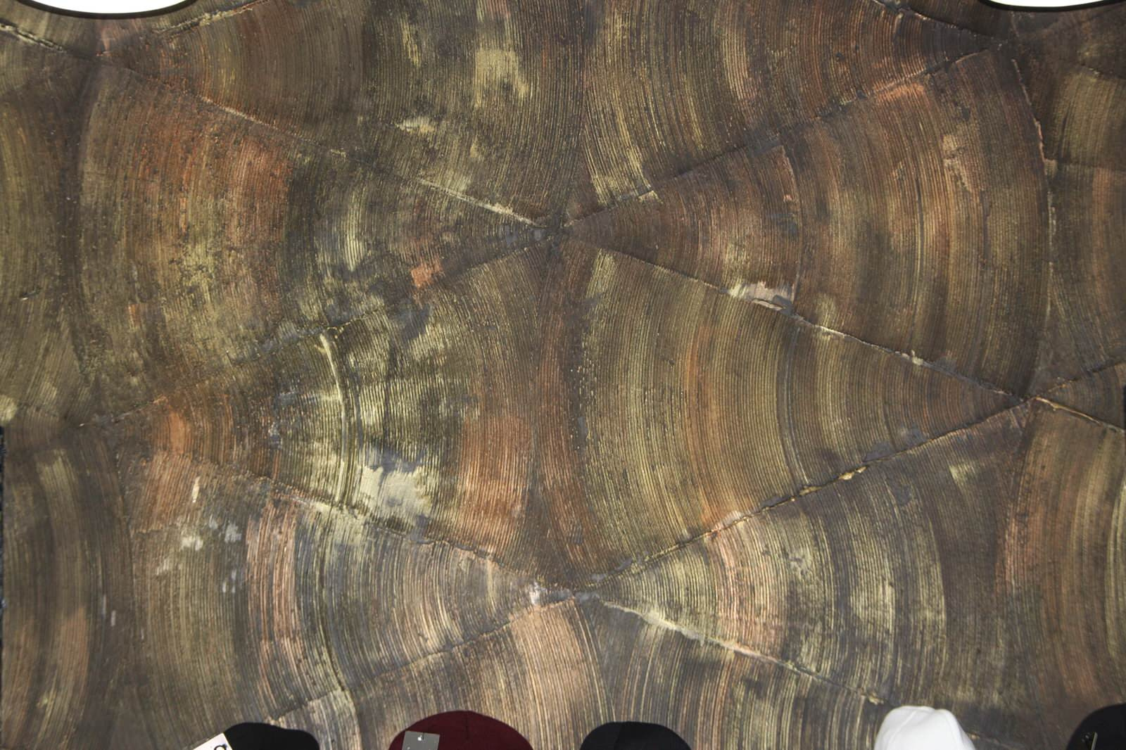 Роспись стен