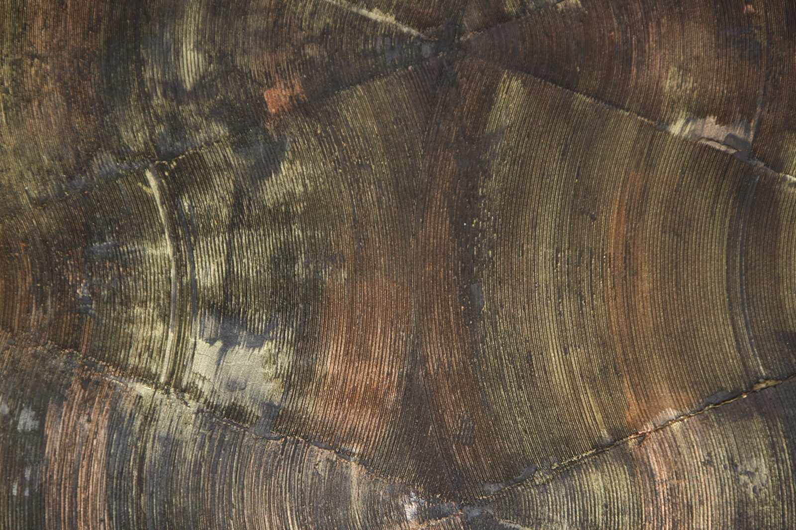 Роспись стен