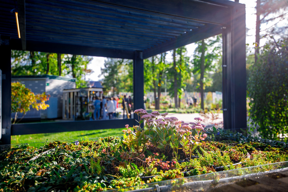 "Сад дождя". Сады и люди, 2019