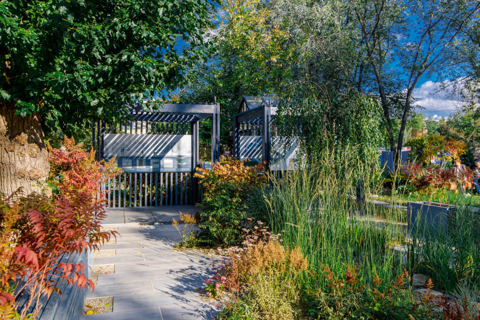 "Сад дождя". Сады и люди, 2019