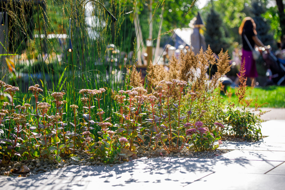 "Сад дождя". Сады и люди, 2019