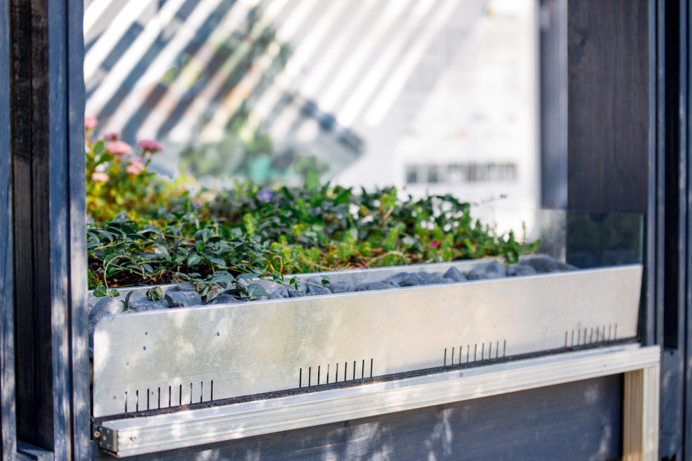 "Сад дождя". Сады и люди, 2019