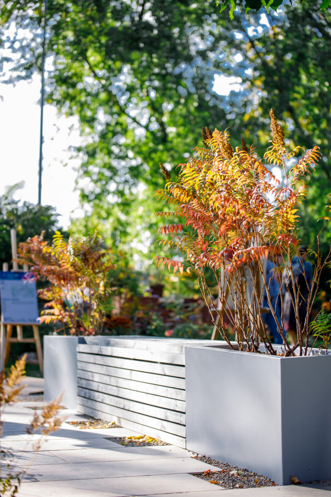 "Сад дождя". Сады и люди, 2019