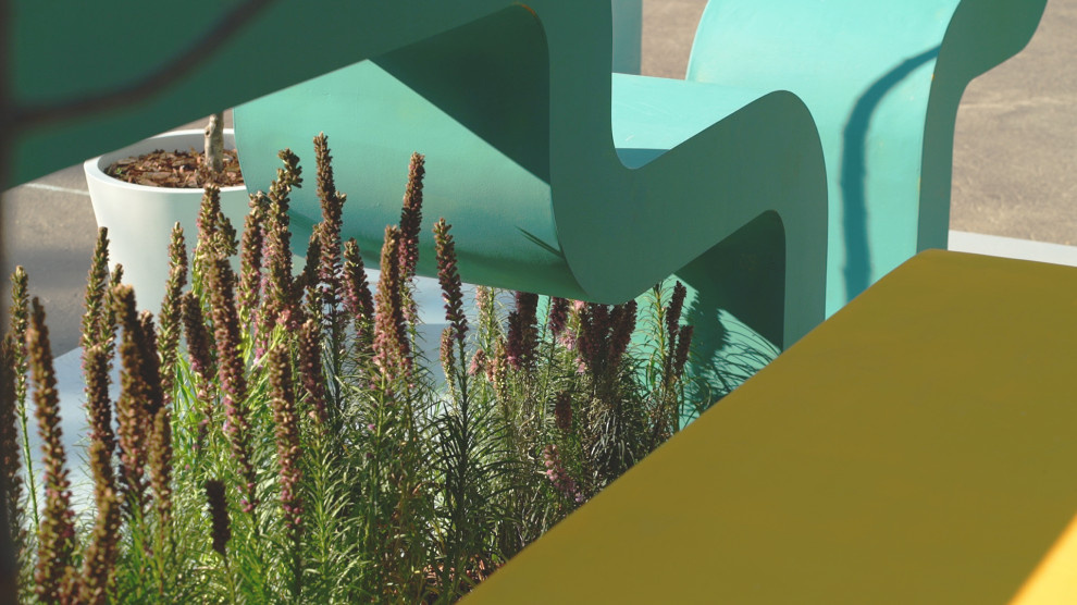 "Новый цвет". Цветочный джем, 2018