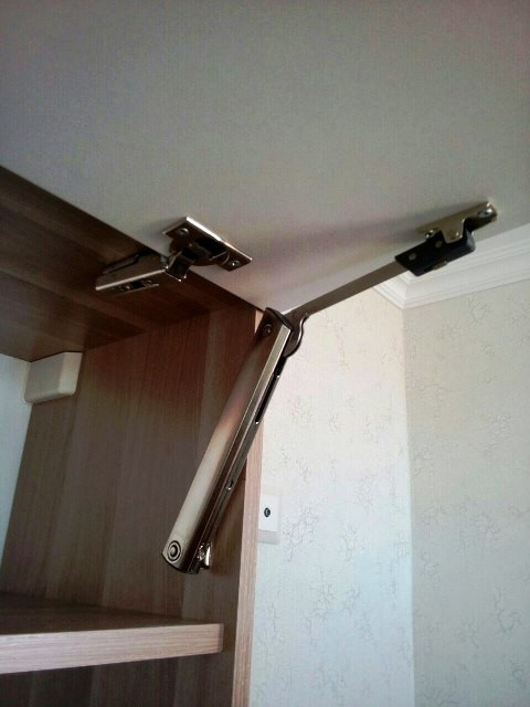 Древесные лягушки