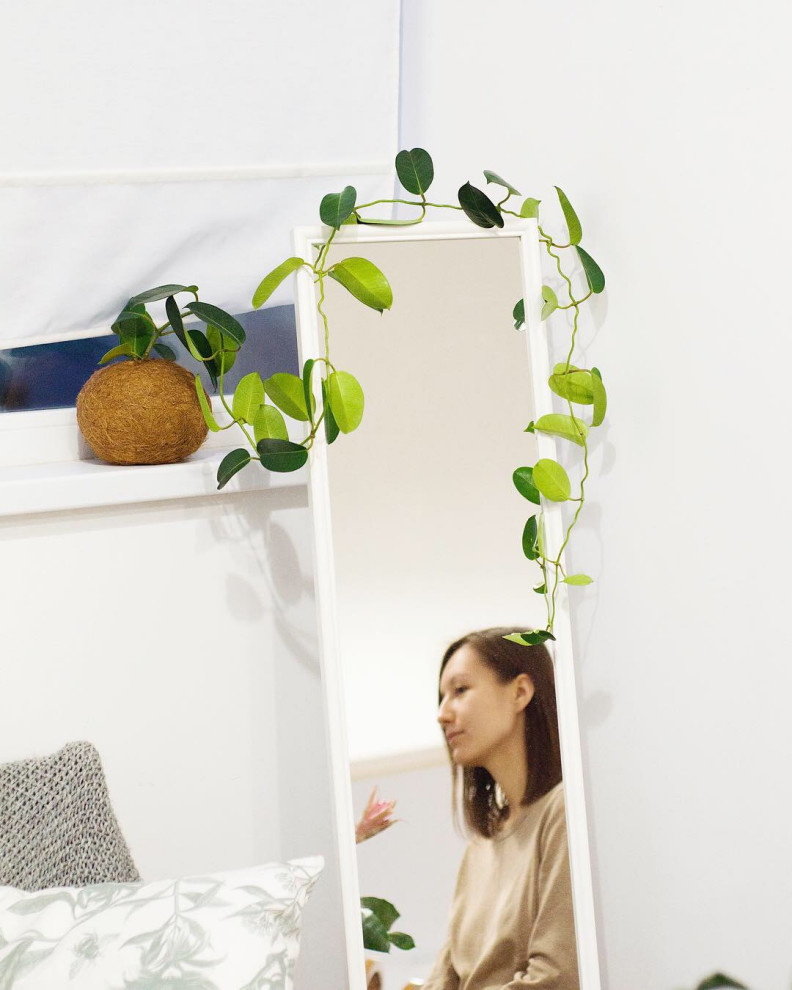 Кокедамы в интерьере