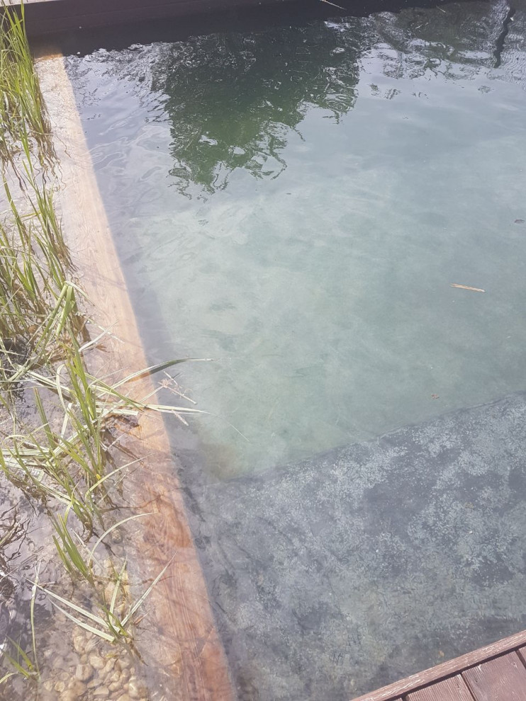 Плавательный водоём в Пскове
