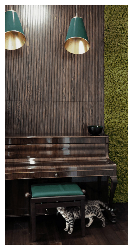 архитектурный проект квартиры на Садовая-Спасская улица, 19/1