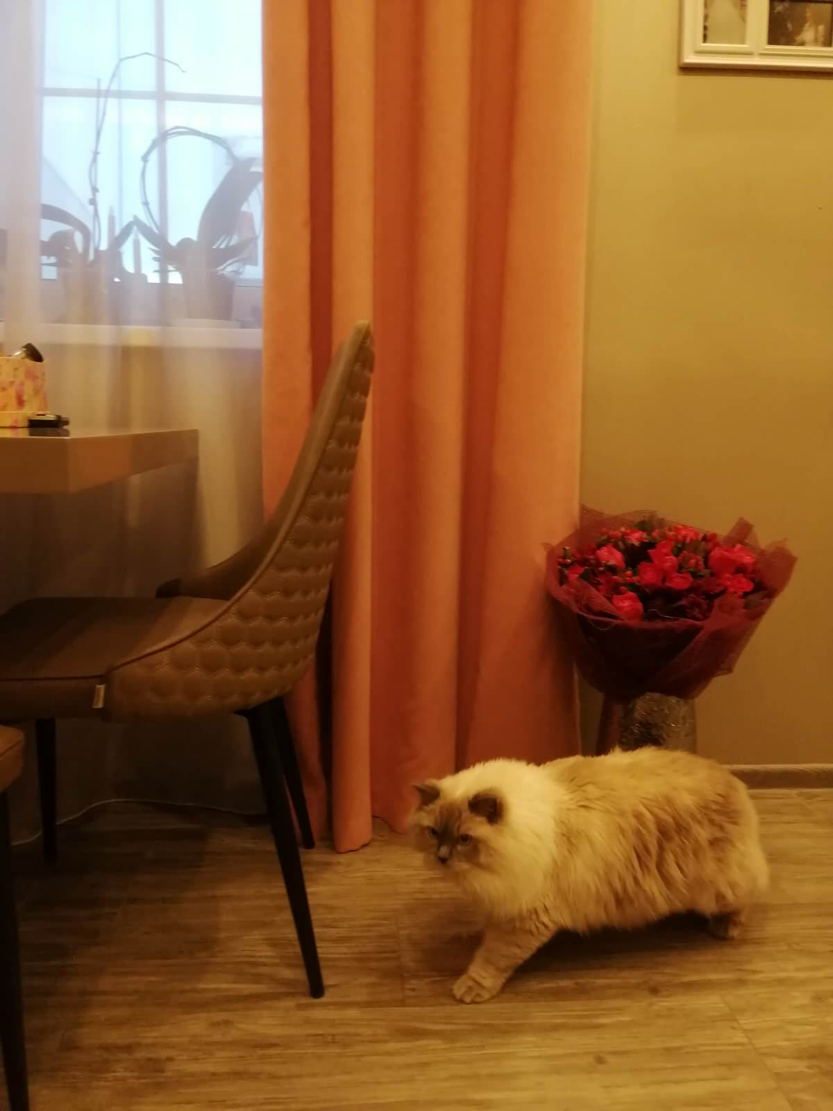 КВАРТИРА на ул. Оптиков, СПб