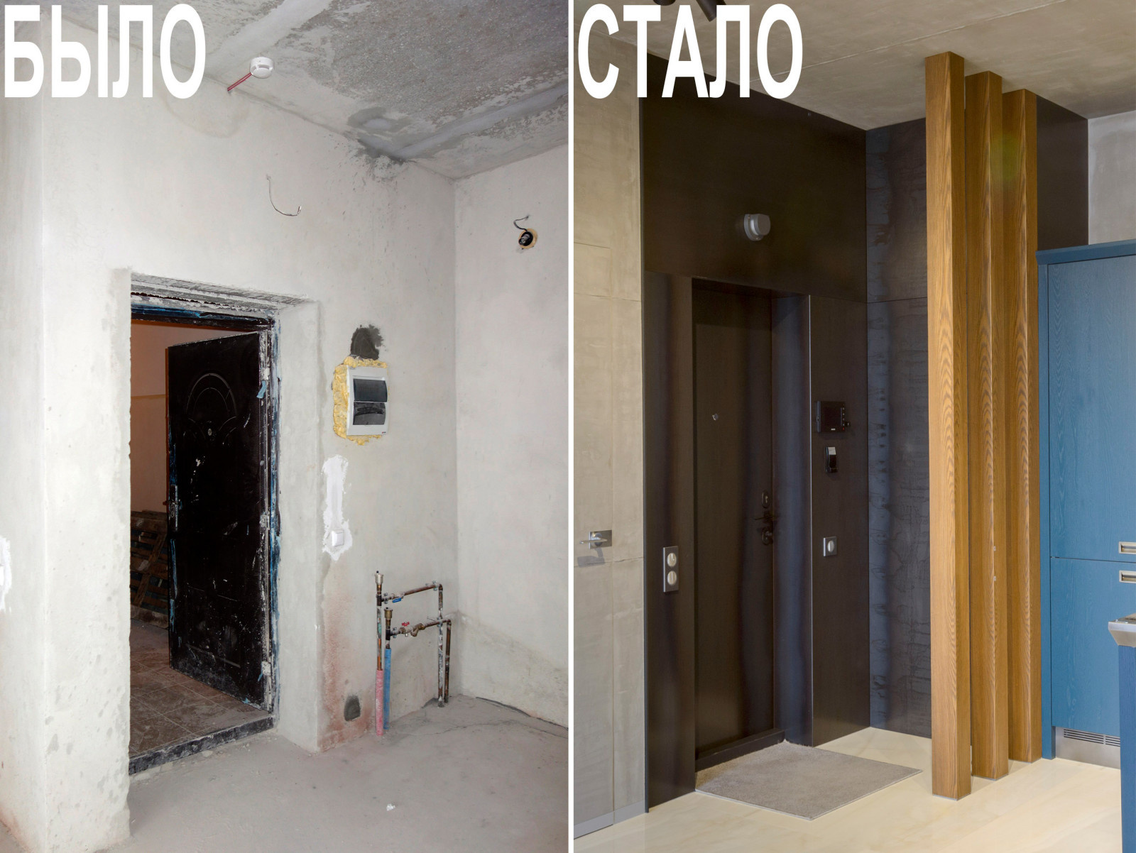 ВДВОЁМ С КОТОМ