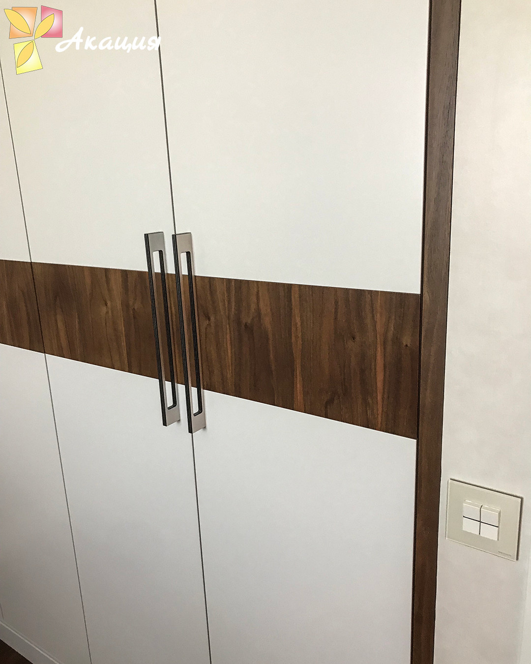 Обложка проекта: Встроенный шкаф