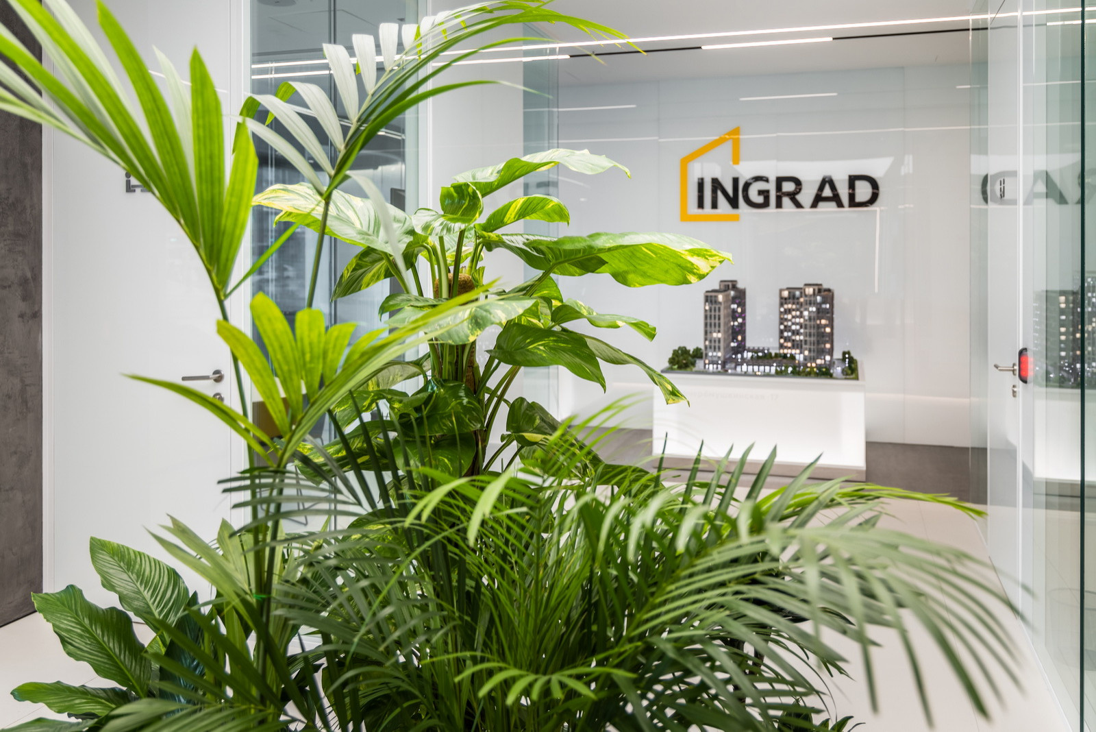 Цветочные композиции для украшения интерьеров домов, квартир и офисов.