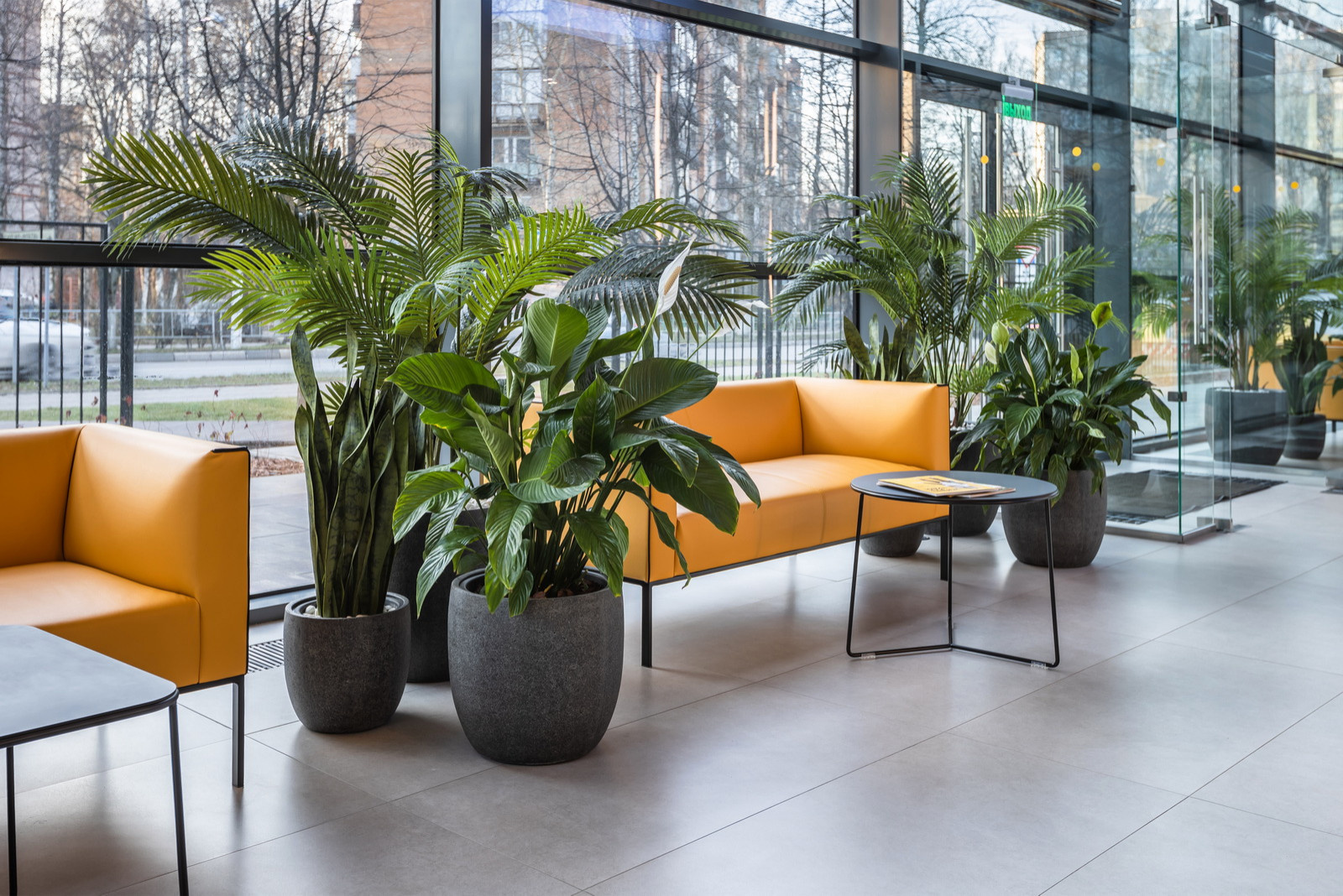 Цветочные композиции для украшения интерьеров домов, квартир и офисов.