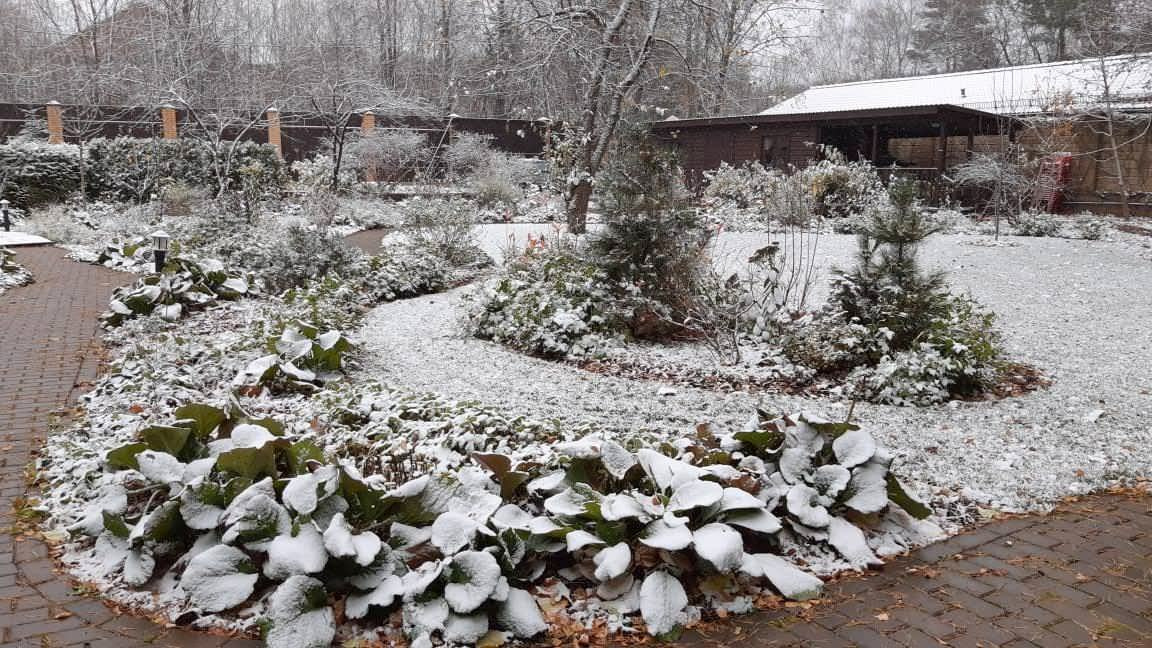 Белкин Сад. Предзимье 2019