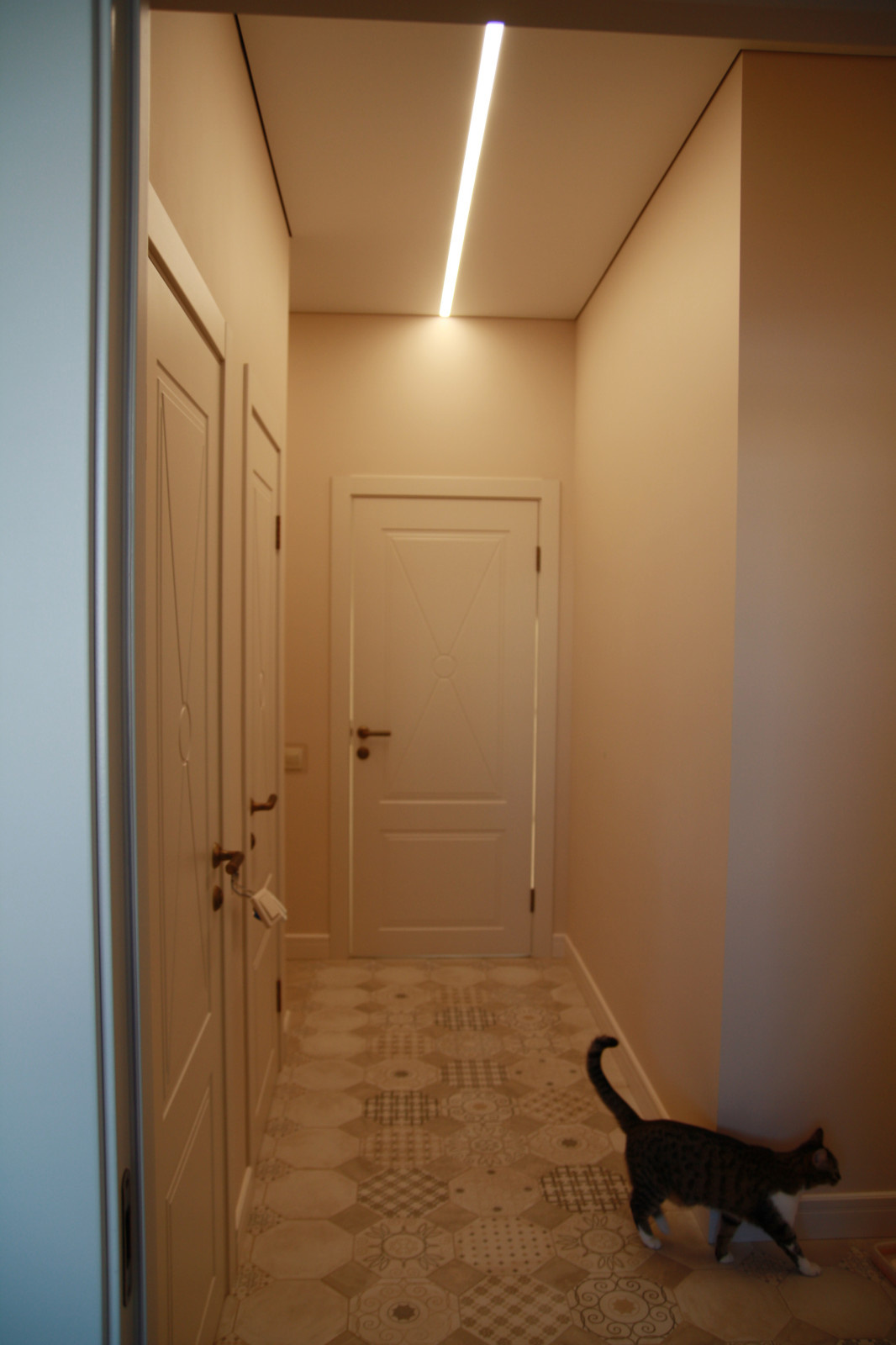 Дом на Девичьей горе