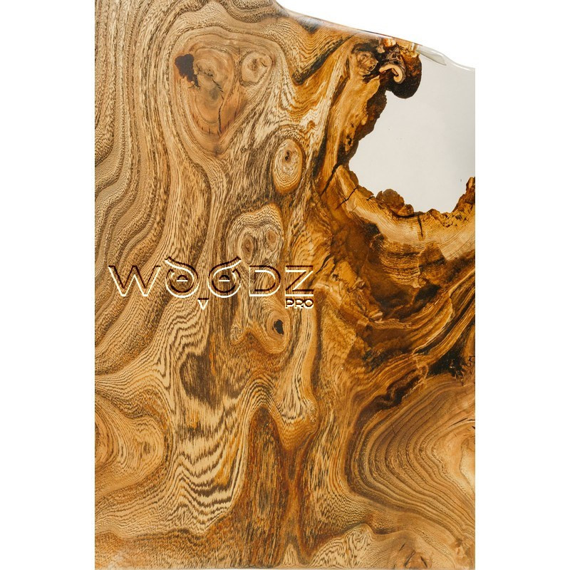 Model 2781