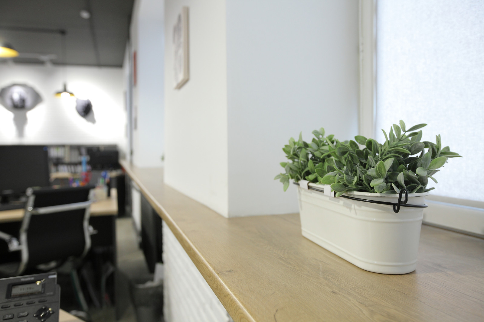 Офисное пространство с open space