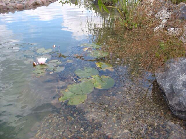 Декоративный водоём в Самаре