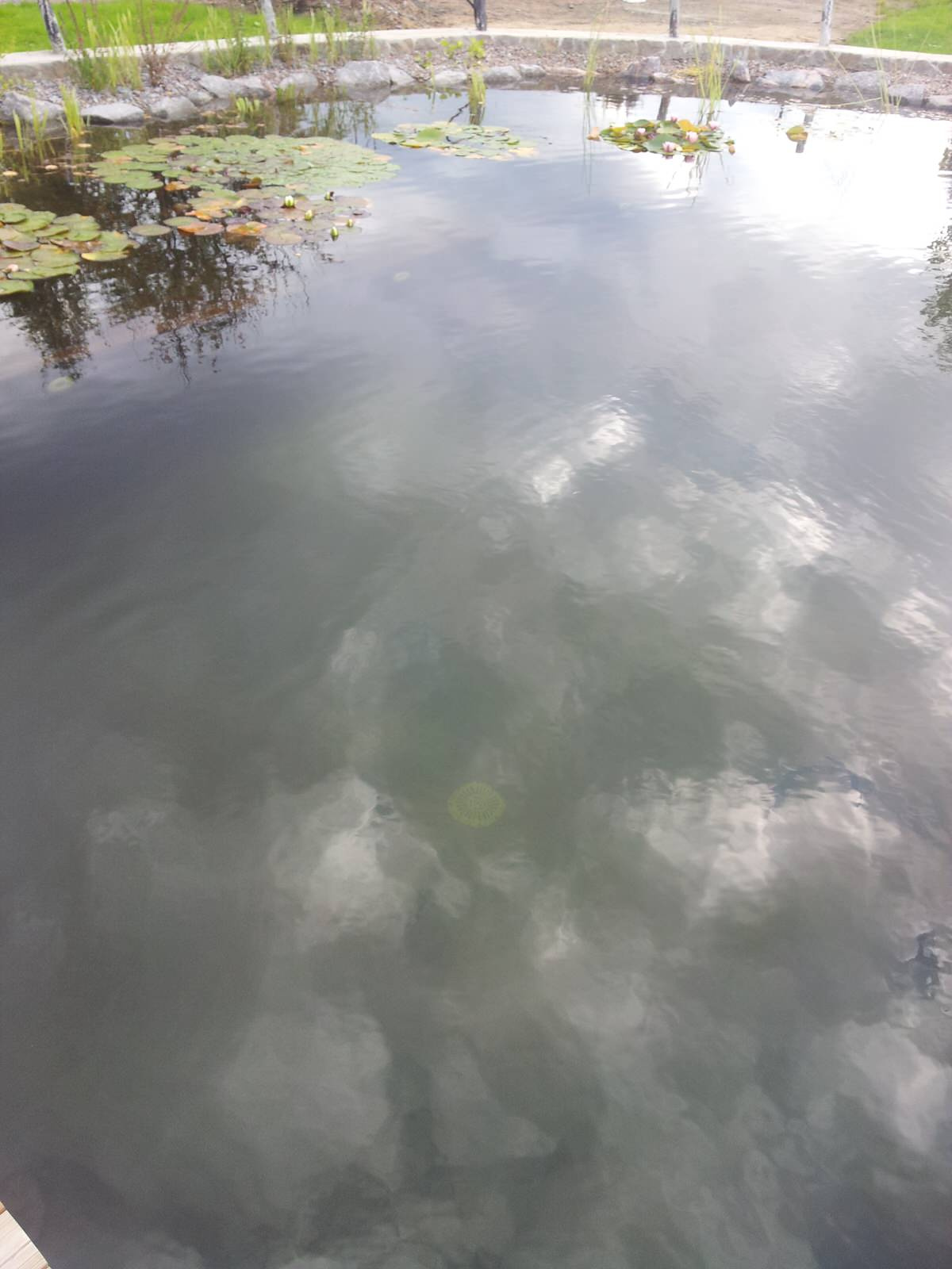 Плавательный водоём в Токсово (Лен. обл.)
