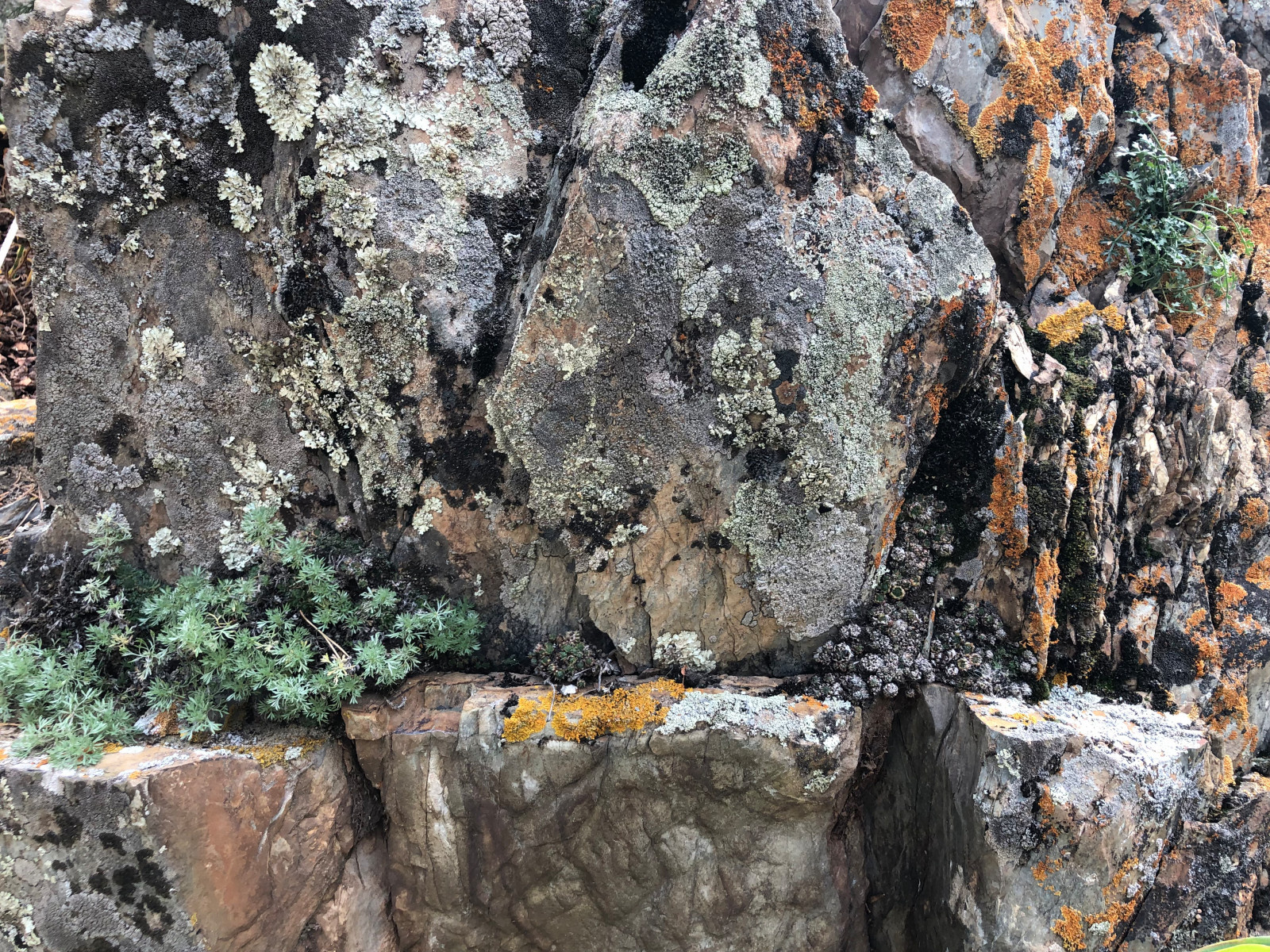 Усадьба на краю леса