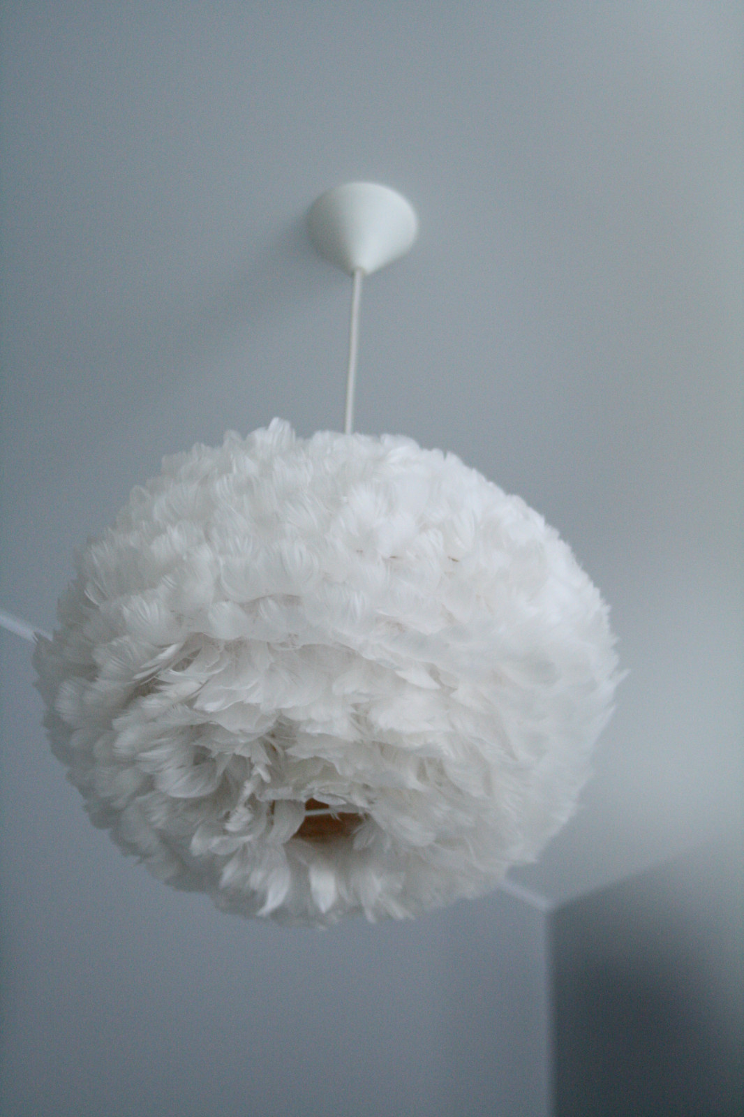 Сканди однушка под сдачу