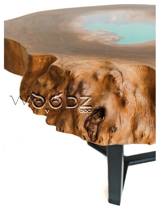 Model 161