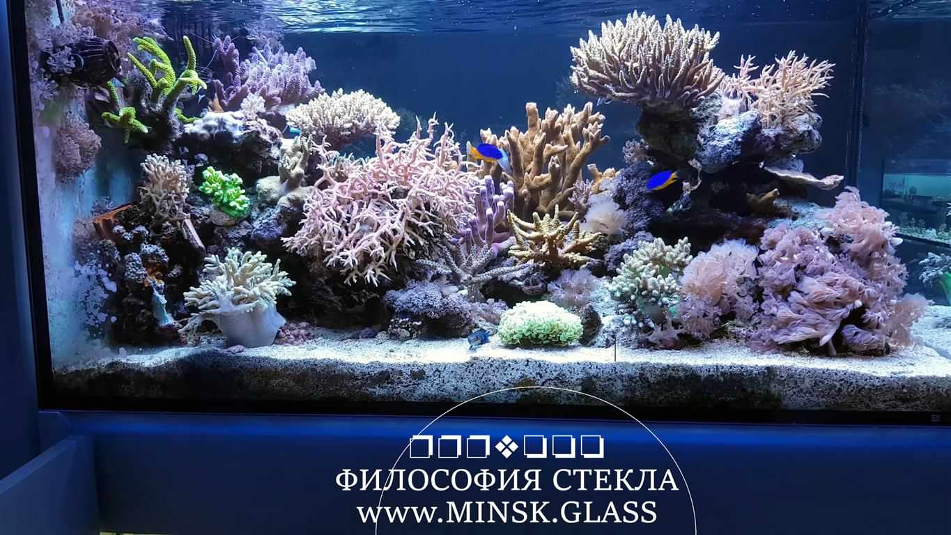 Аквариумы в интерьере