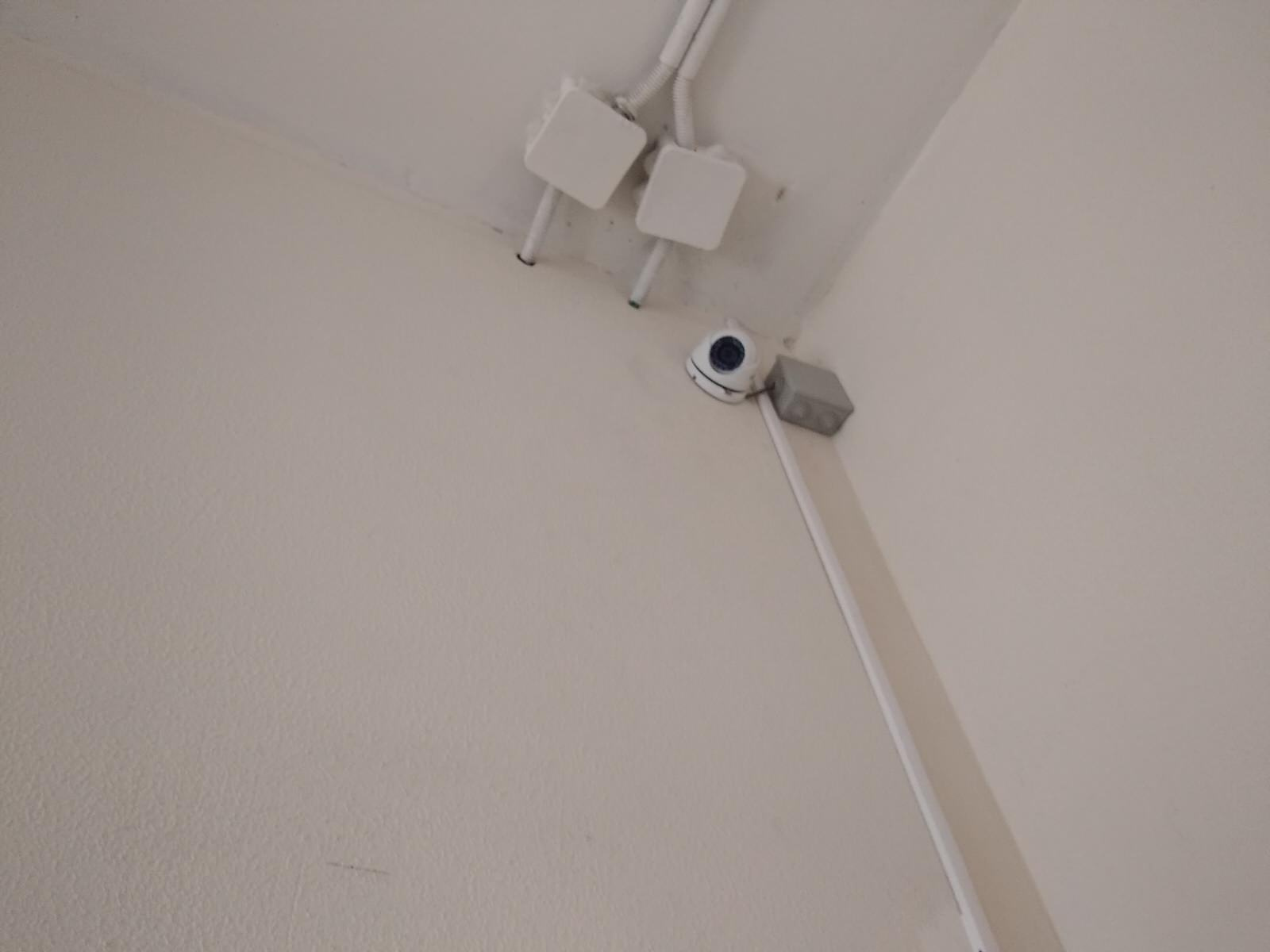 Выполненные работы