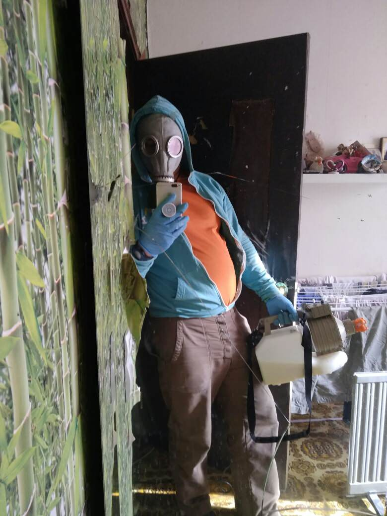 Дезинсекция