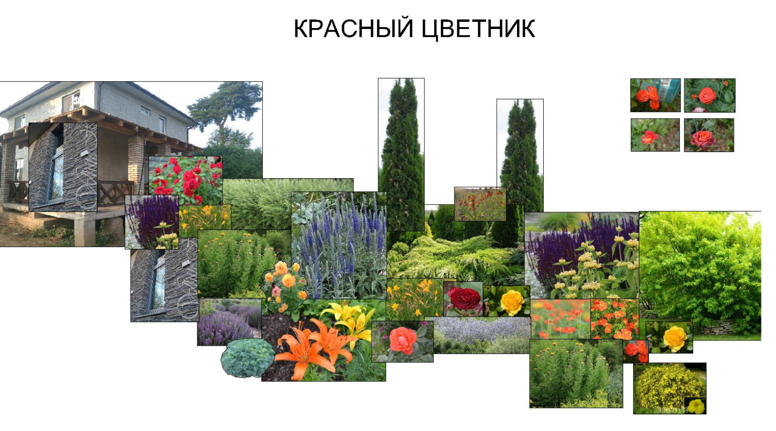 Фотографии моих работ