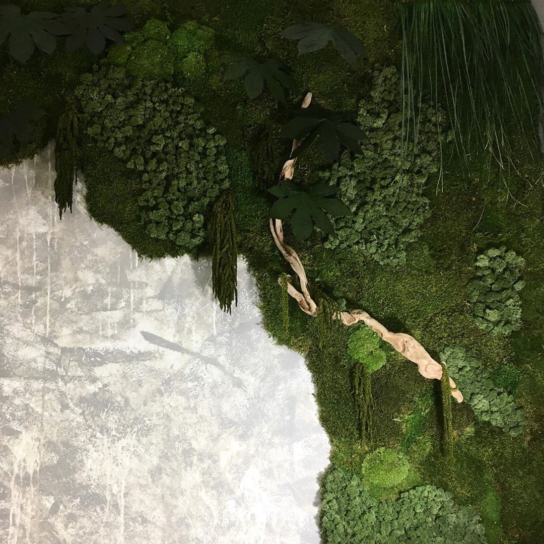 Обложка проекта: Озеленение ногтевого салона