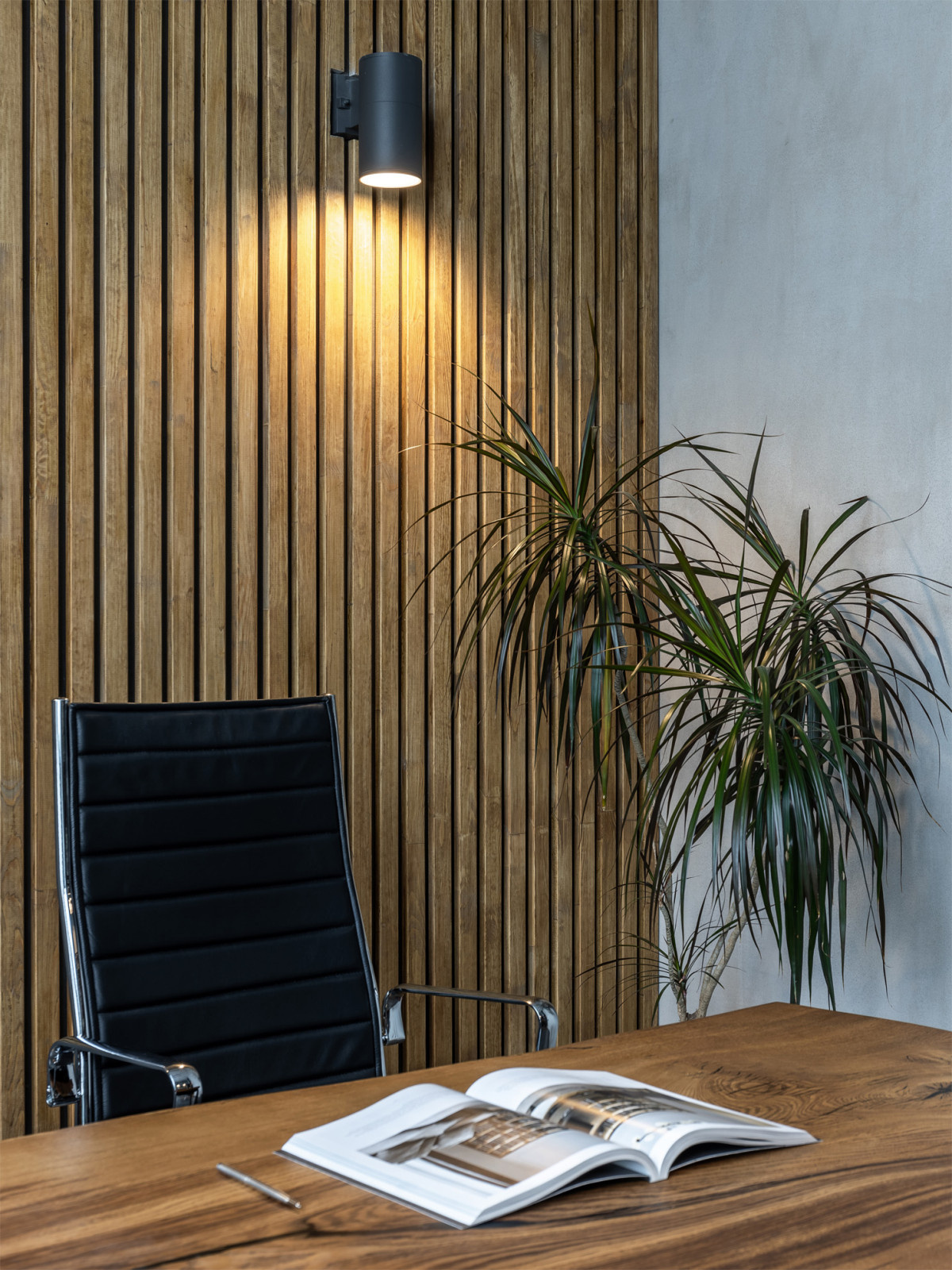 Офис для молодой компании