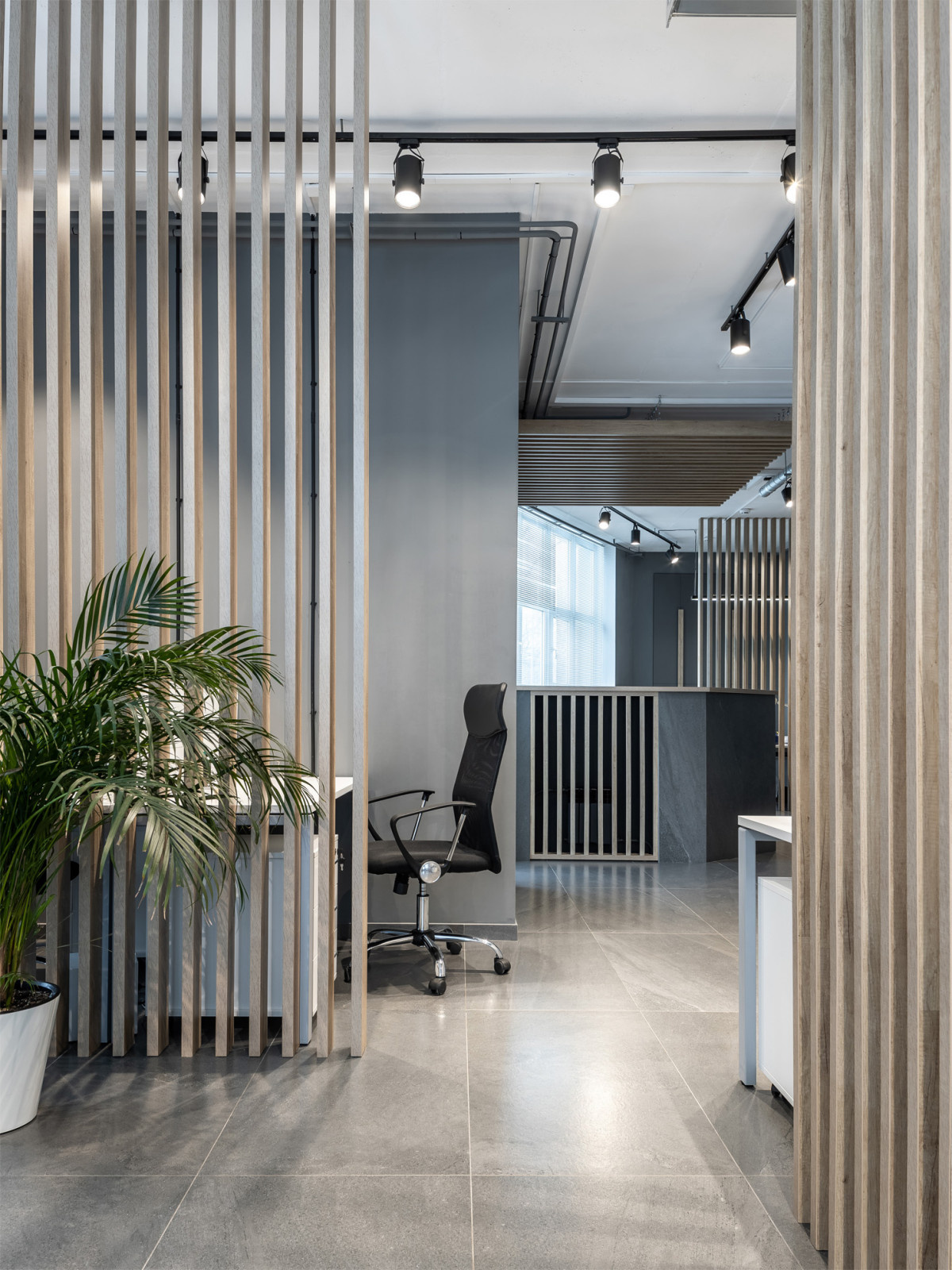 Офис для молодой компании