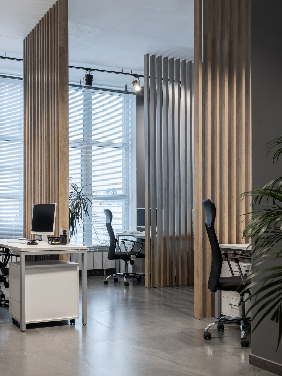 Офис для молодой компании