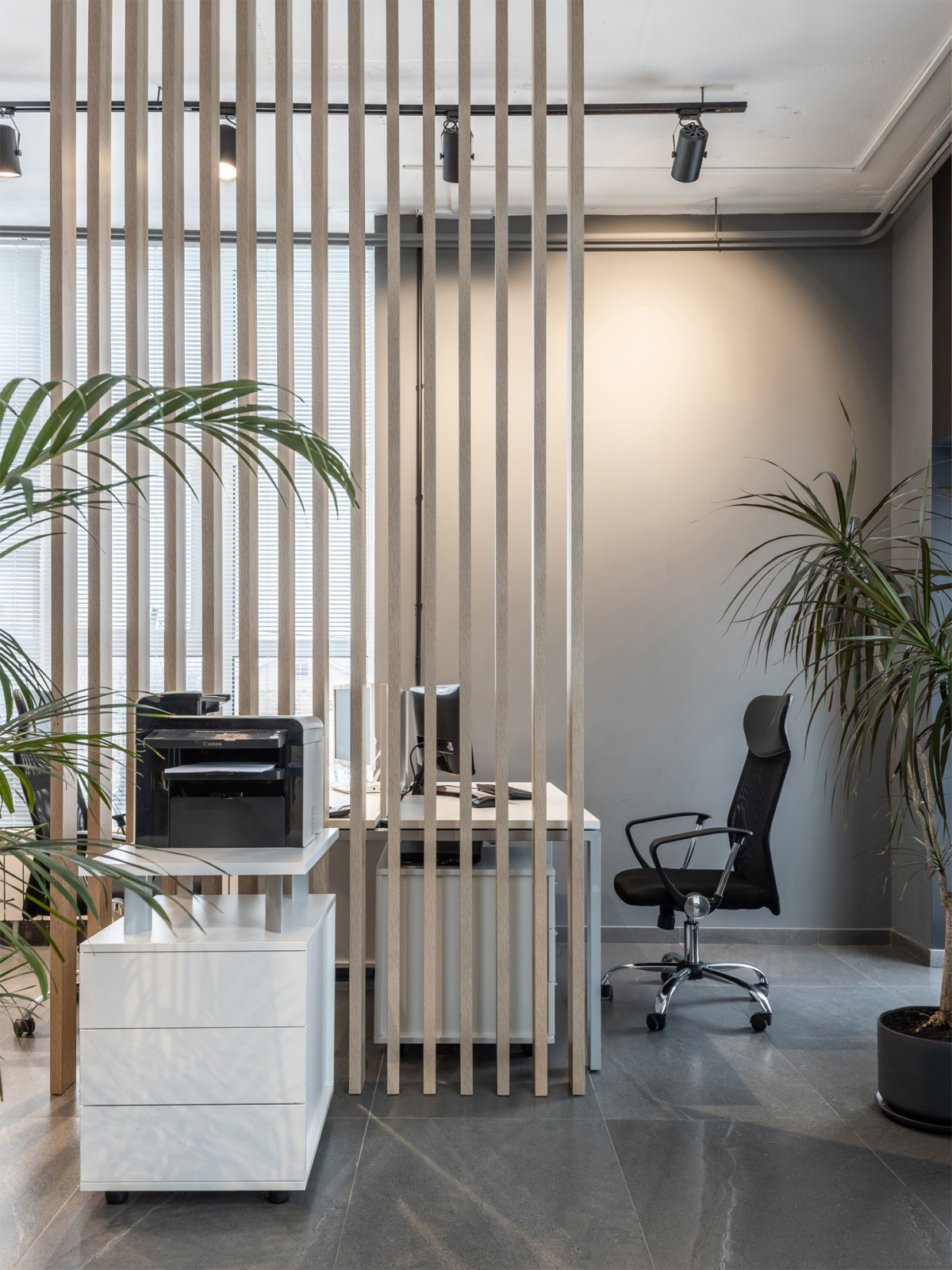 Офис для молодой компании