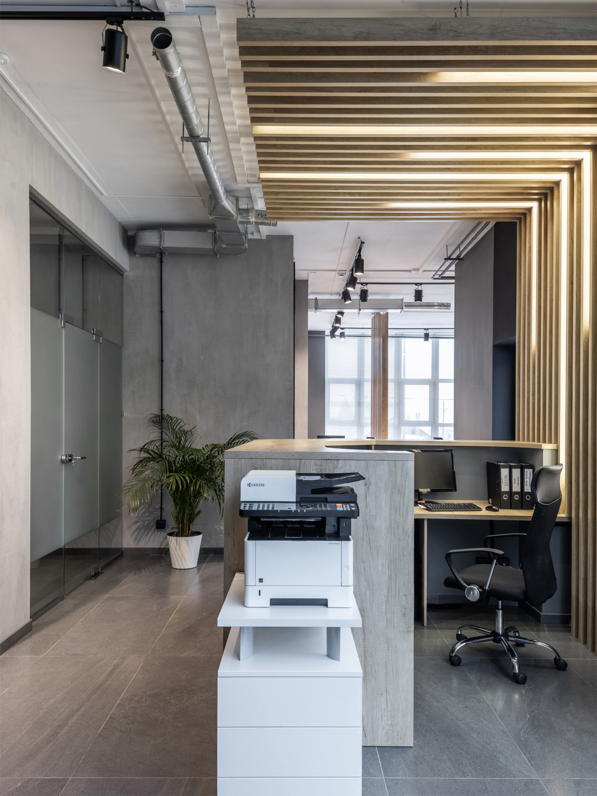 Офис для молодой компании