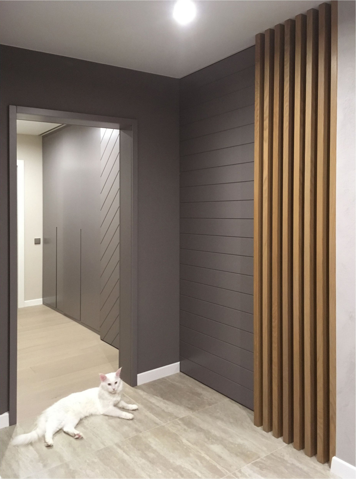 Дом кота Шерлока