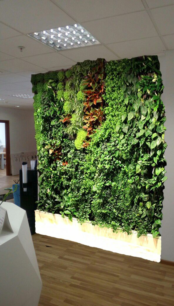 Офисное озеленение