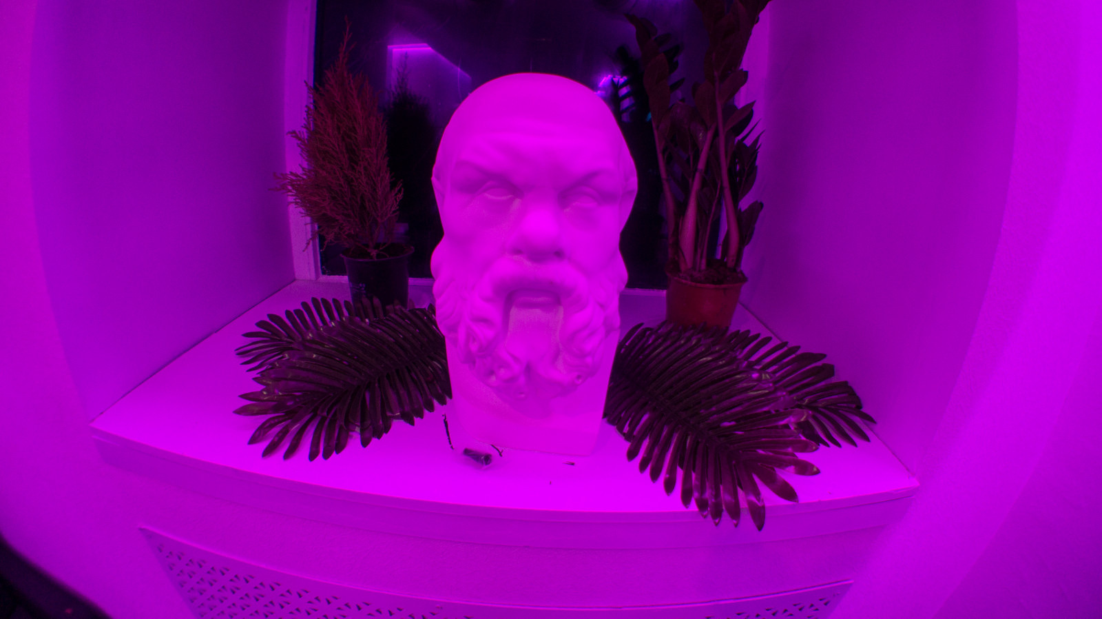 Кальянная "No Name"