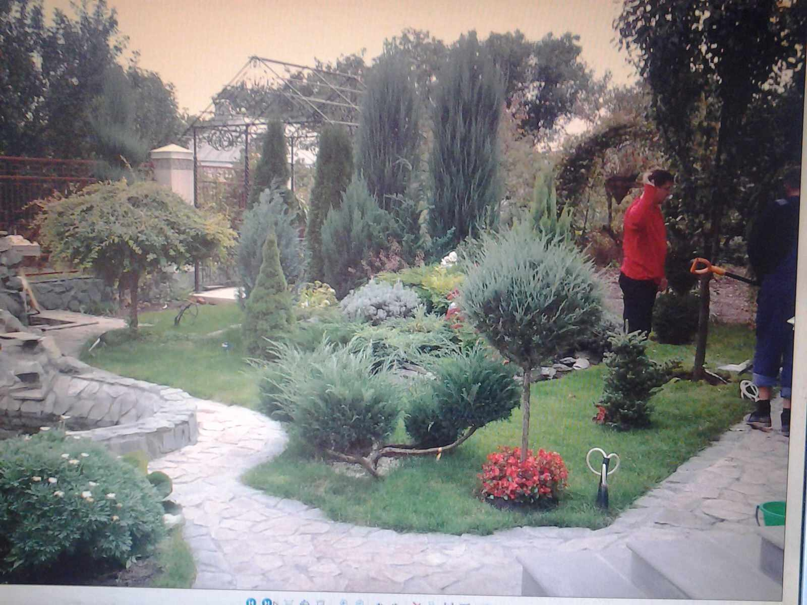 Дизайн участка.