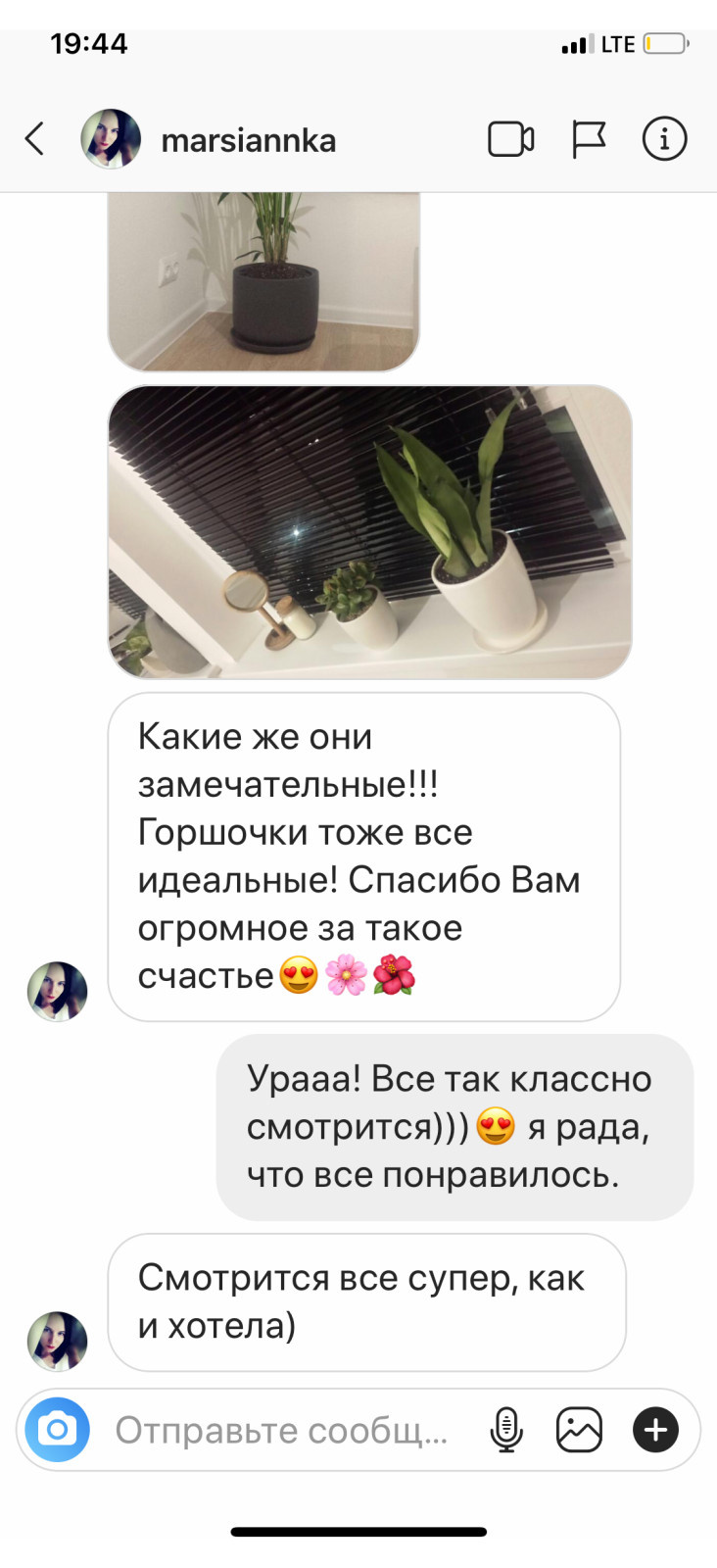 Озеленение квартиры
