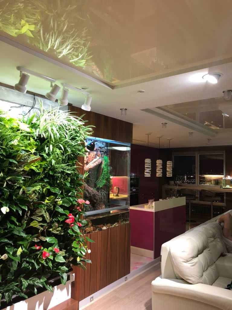 Фитостена в квартире (система полок)