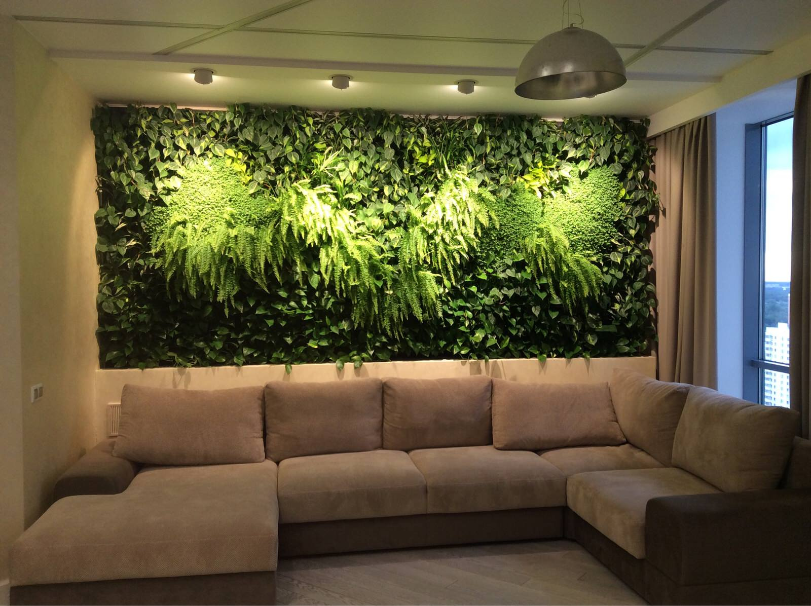 Фитостена в квартире
