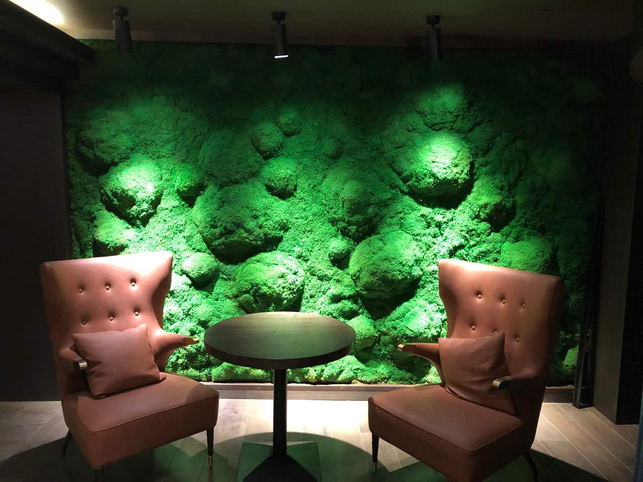 Пластовой мох в сигарном клубе