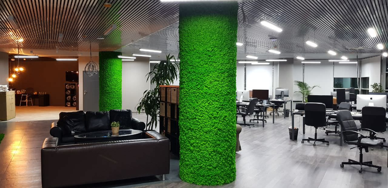 Колонны из мха ягель в офисе