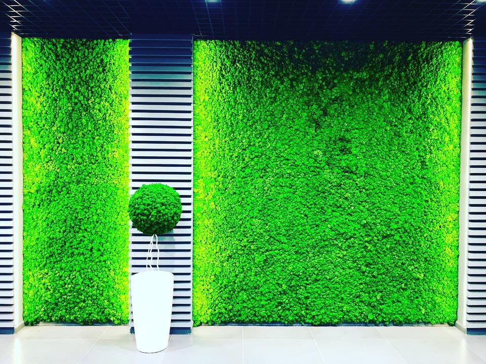 Ягель с подсветкой