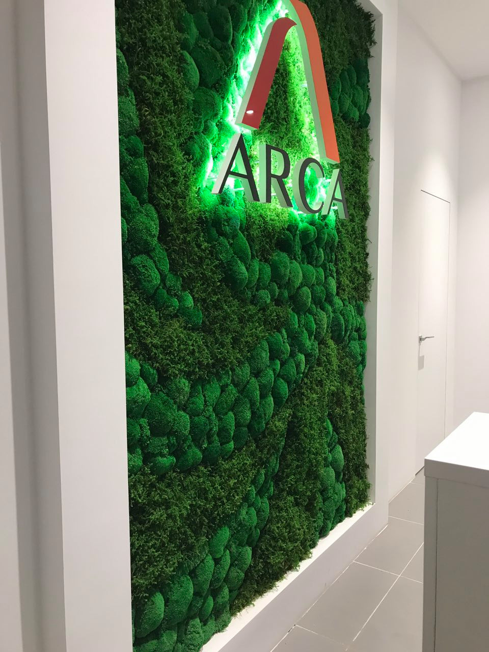 Микс мхов в зоне ресепшн